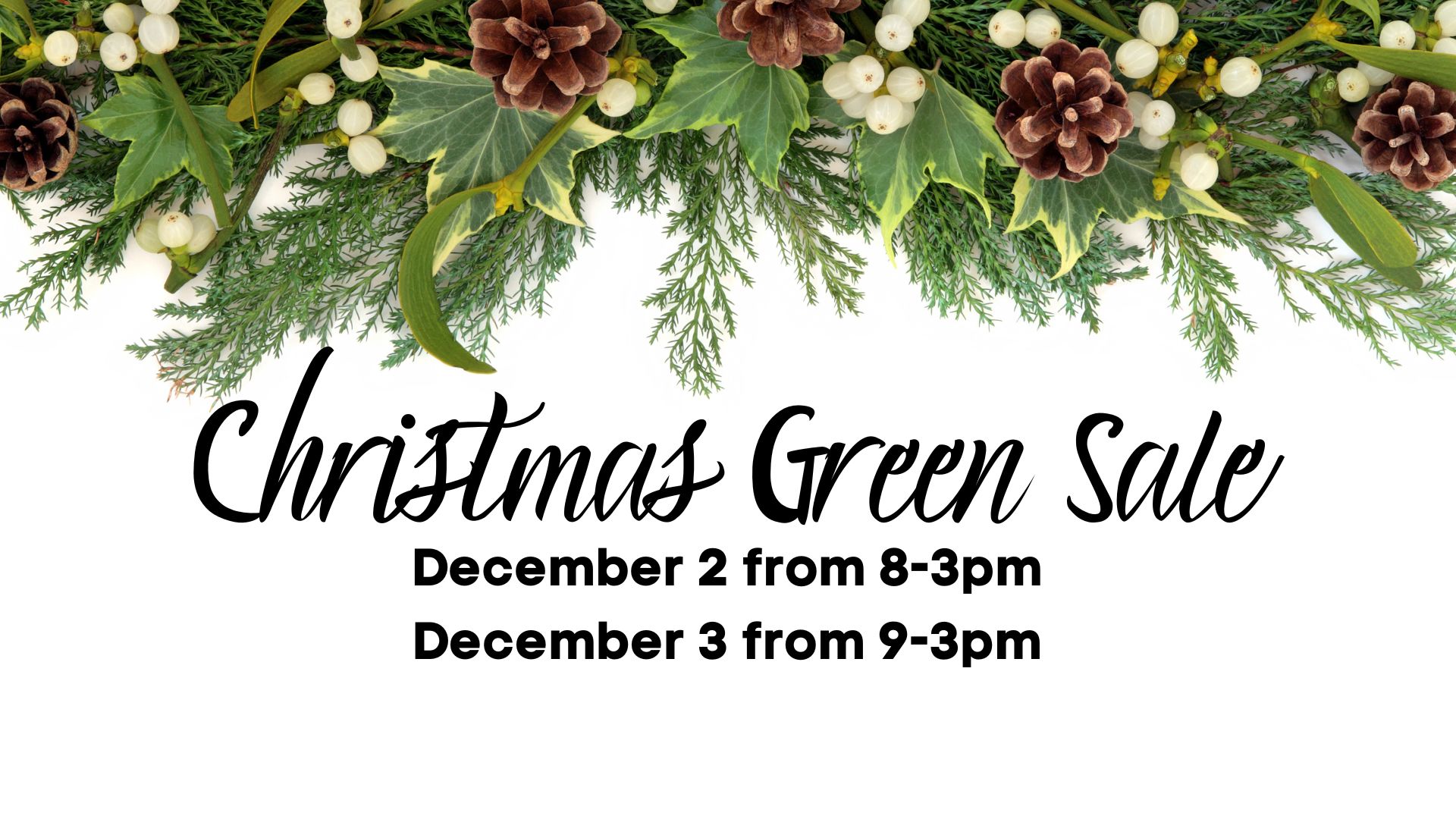 Christmas Green Sale
